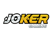 sudoku solver asset nyt
